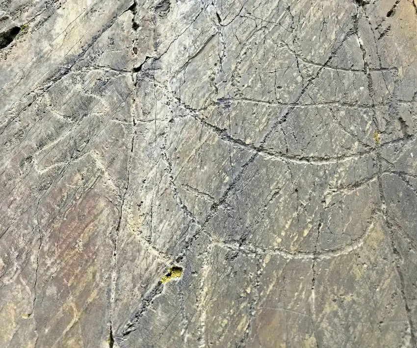 Paleolithic engraving at Canada do Inferno